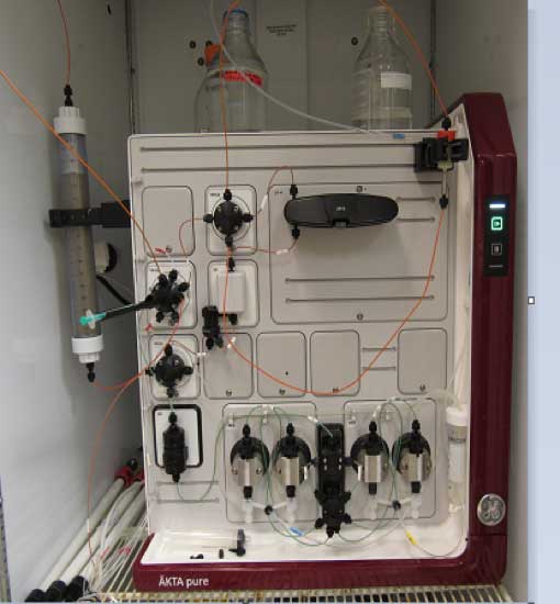 Laboratory chromatography system with tubing and glass bottles connected to a white and maroon ÄKTA Pure instrument used for protein purification