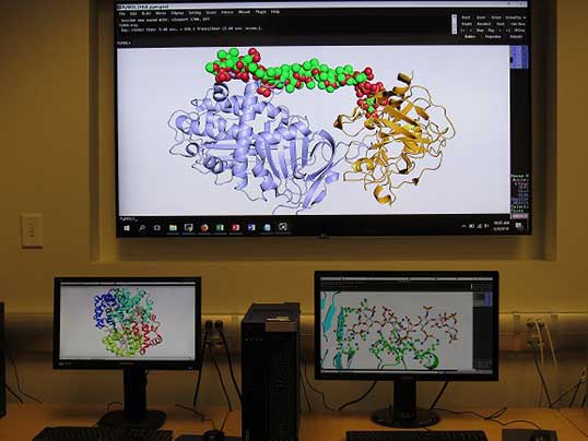 Computer monitors display colorful 3D molecular structures in a laboratory setting, with a large screen showing a detailed protein model above two smaller monitors on a desk